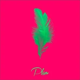 Plüm — Meeting Love — обложка