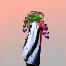 Plüm — Slow Down — обложка